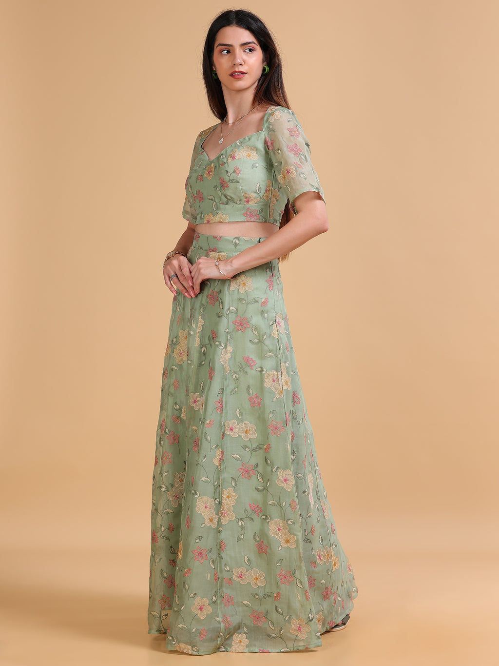 Bagh Silk Organza Blouse & Skirt Set