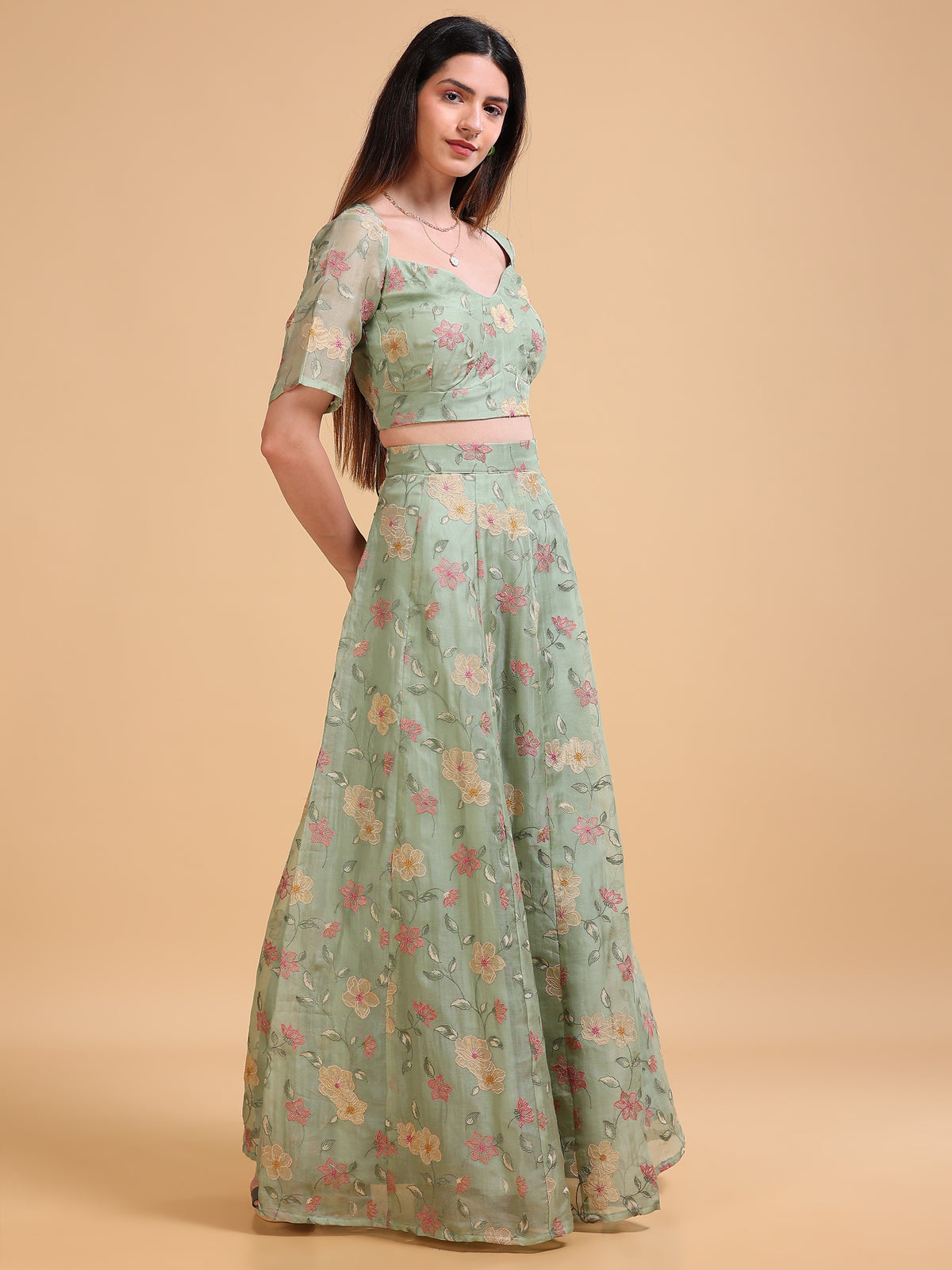 Bagh Silk Organza Blouse & Skirt Set