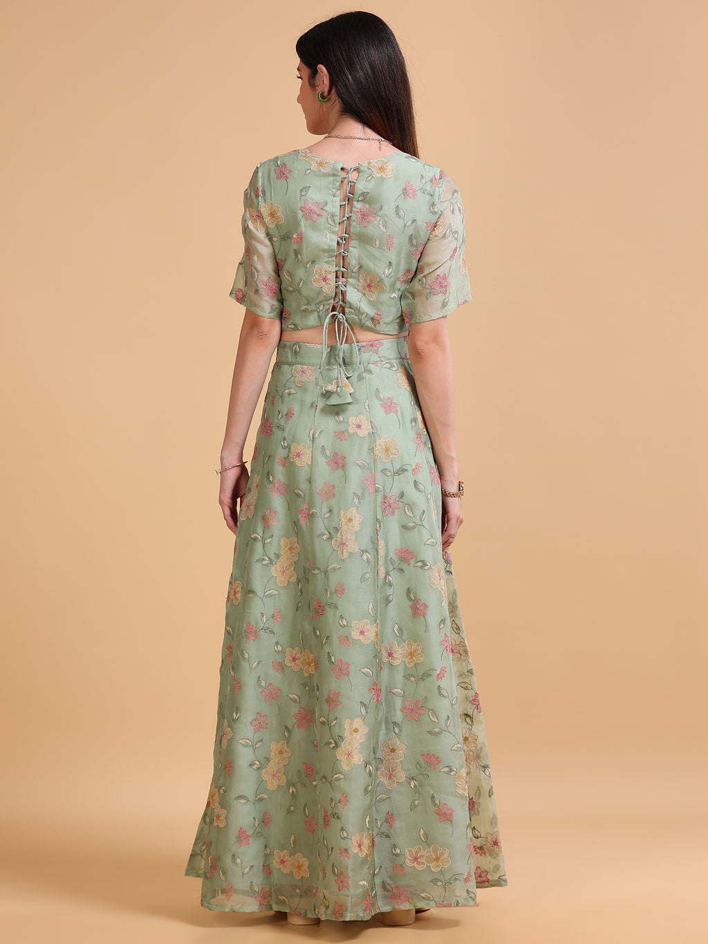 Bagh Silk Organza Blouse & Skirt Set