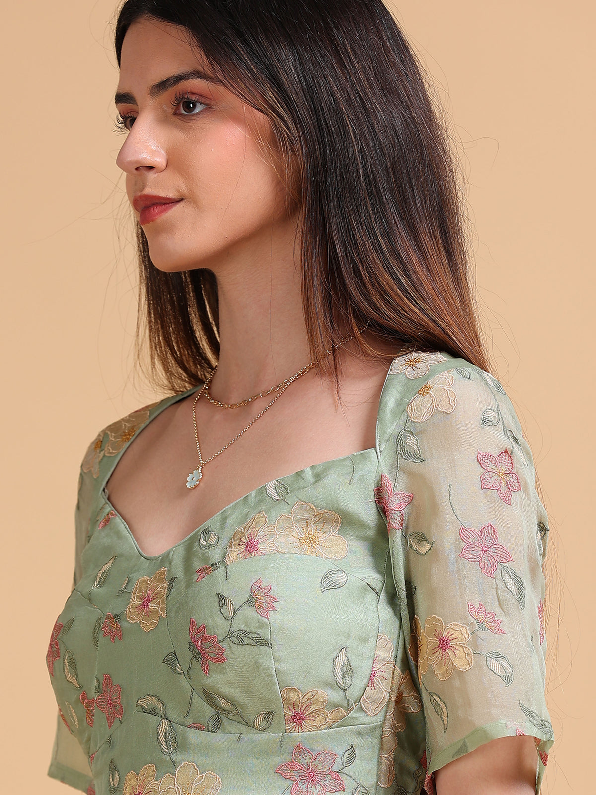 Bagh Silk Organza Blouse & Skirt Set
