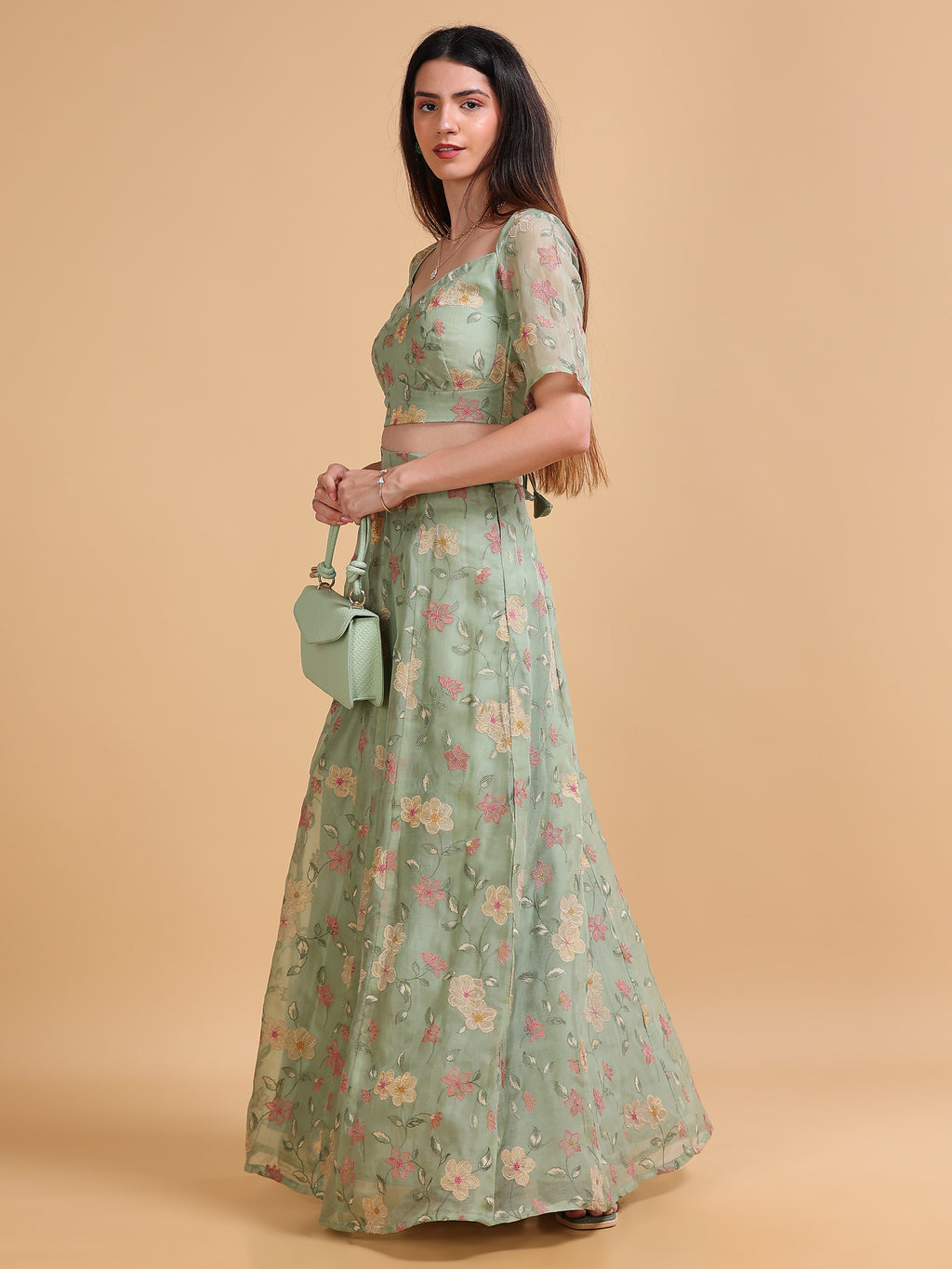 Bagh Silk Organza Blouse & Skirt Set